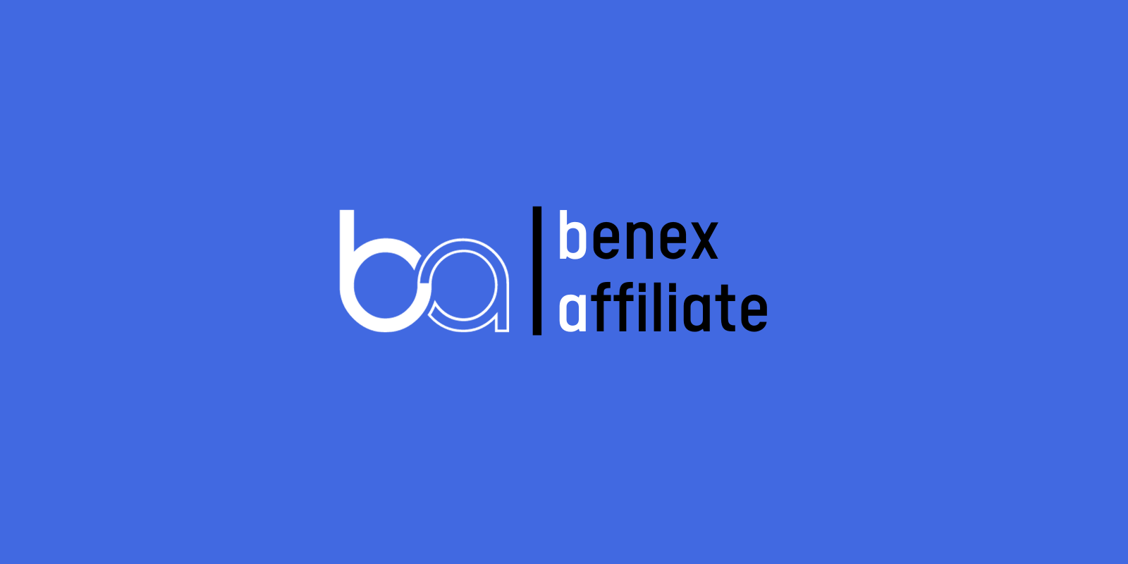 logo benex affiliate seo